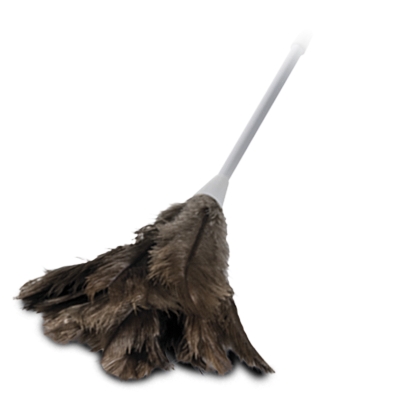 Feather Duster Medium